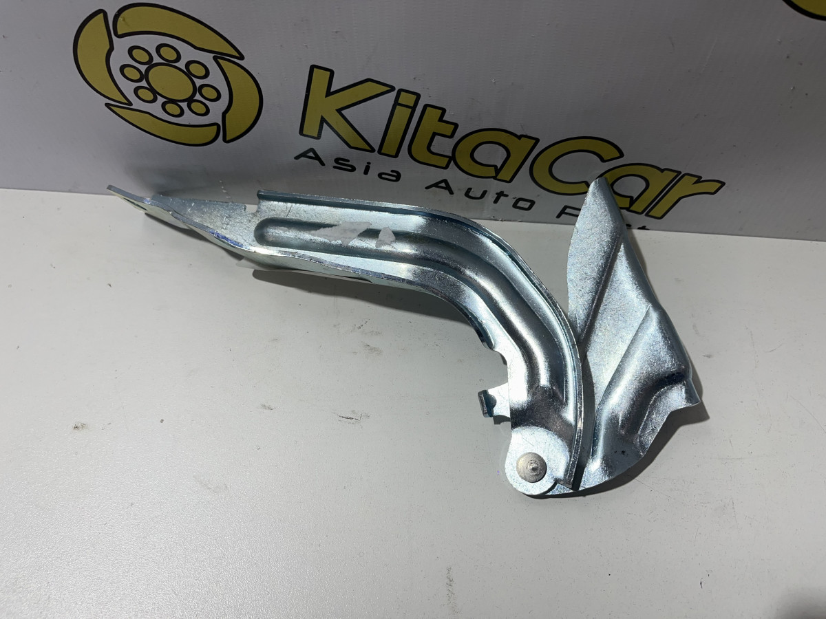 ПЕТЛЯ КАПОТА ЛЕВАЯ BAIC X35 A00052569DY